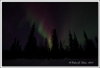 untitled-shoot-1250
