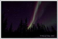 untitled-shoot-1271